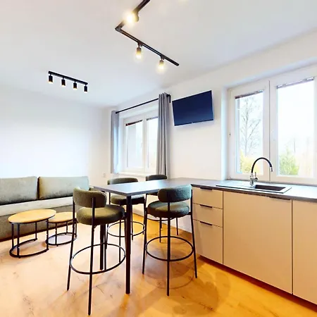 Montis Apartamento Destne v Orlickych horach
