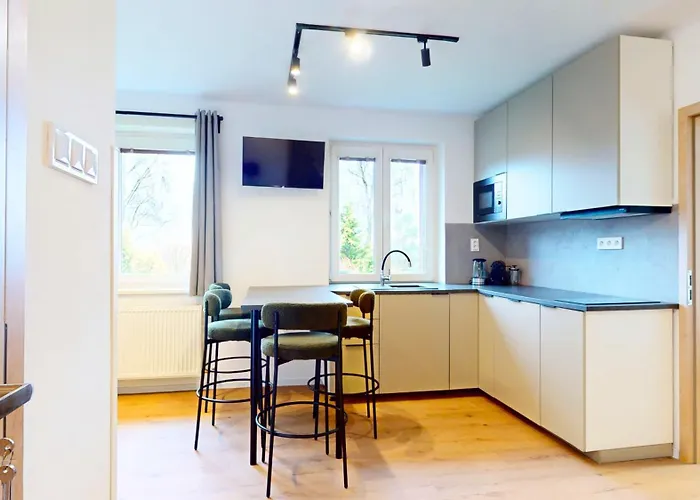 Apartamento Montis Destne v Orlickych horach
