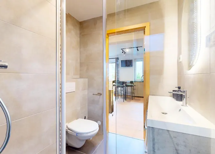 Apartamento Montis Destne v Orlickych horach